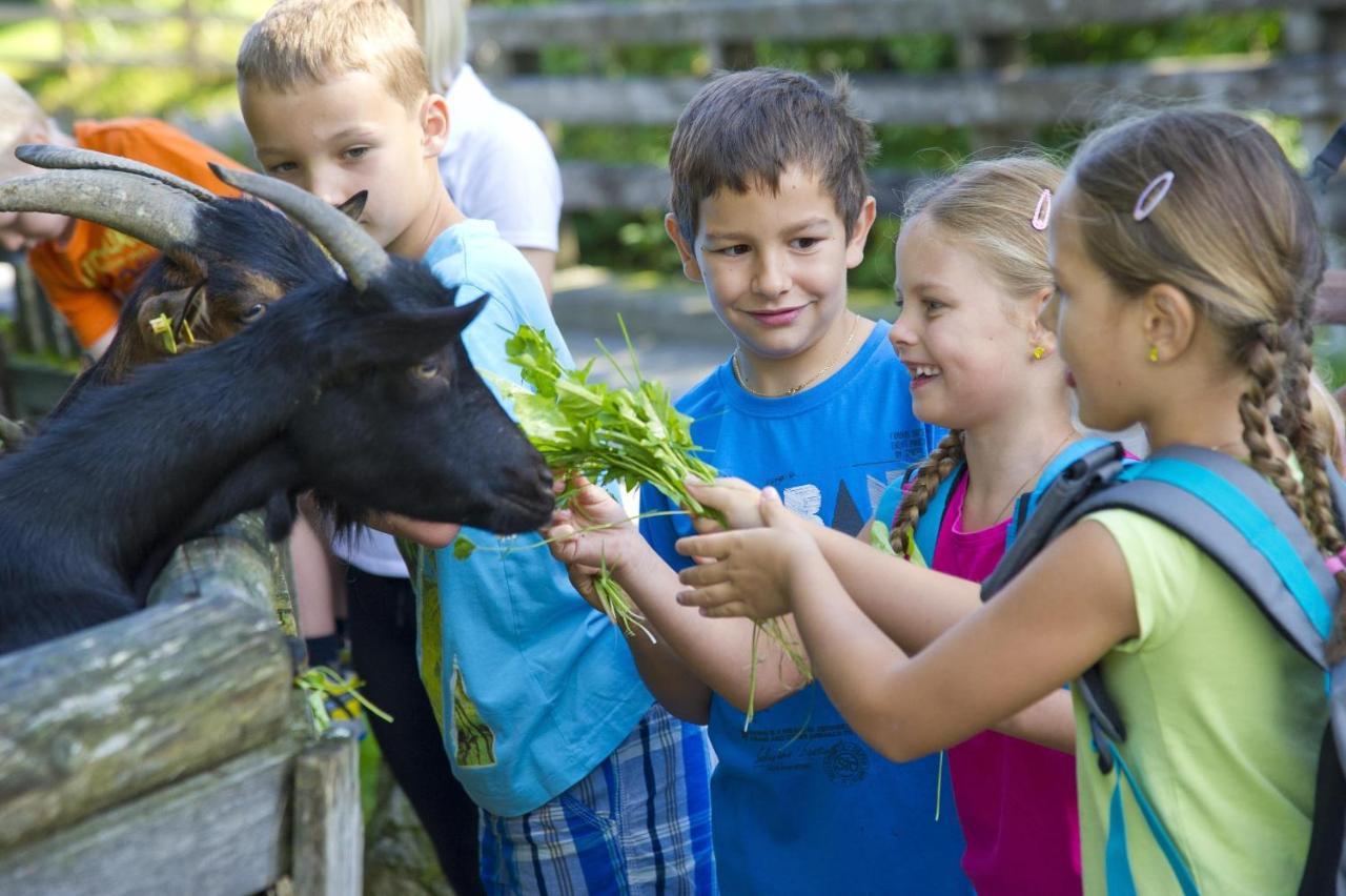 Ferienwohnung Prokosch Kirchdorf in Tirol Kültér fotó